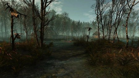 Велен Ведьмак 3 болота