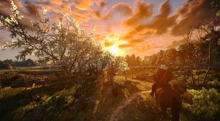 Велен Ведьмак 3