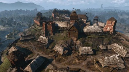 Witcher 3 Вроницы