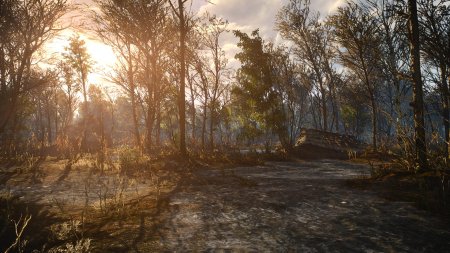 Рыжий лес сталкер