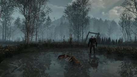 Кривоуховы топи Ведьмак