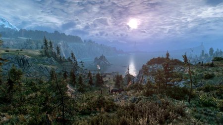 Ведьмак 3 пейзажи