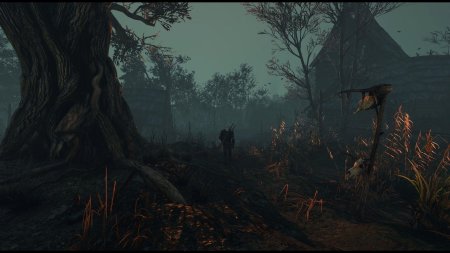 Ведьмак 3 Дикая охота болота Велена