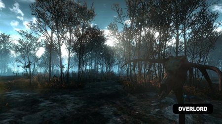 Кривоуховые топи Ведьмак