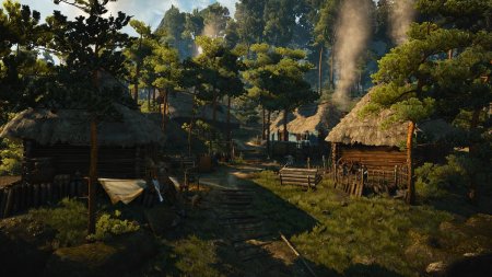 Деревня Штейгеры Ведьмак