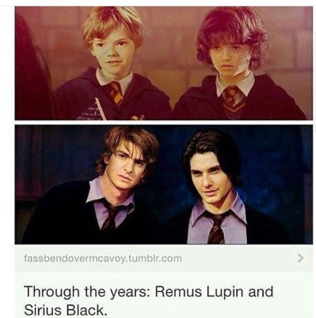 Мародёры Гарри Поттер в молодости