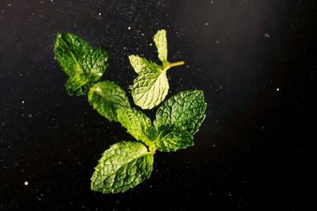 Мята перечная Эстетика