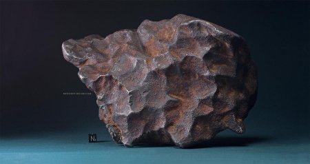 Каменный метеорит ALH 81005