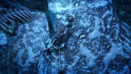 Ледяной скелет