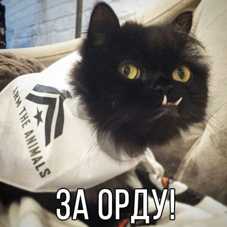 Локтар Огар