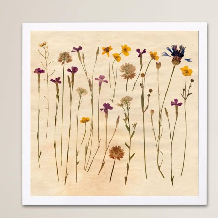 Wildflowers Graphics
