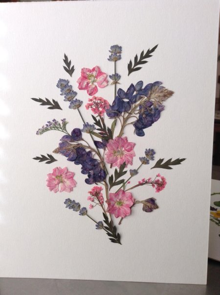 Композиции из гербария