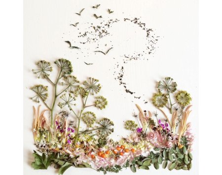 Ошибана Бриджит Коллинс