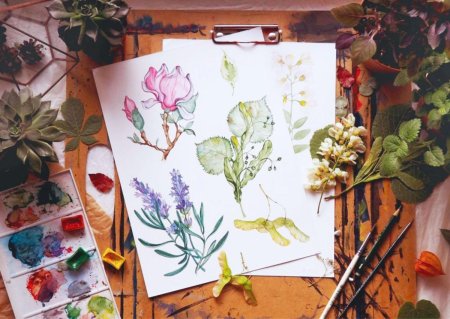 Современная Ботаническая живопись