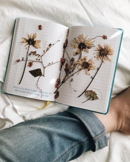 Гербарий Эстетика