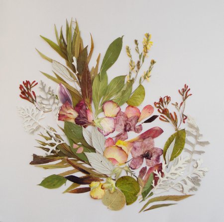 Картины с засушенными цветами