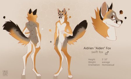 Фурри лиса референс