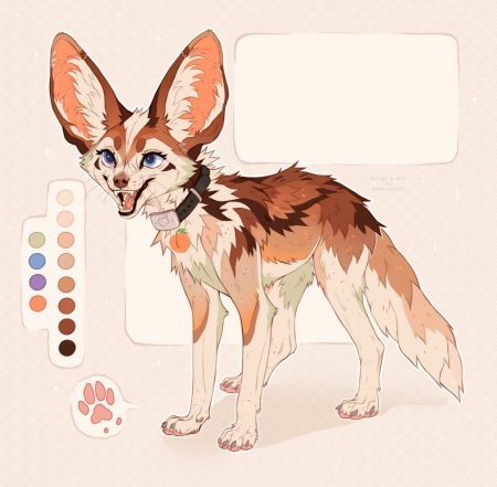 Фенек анатомия