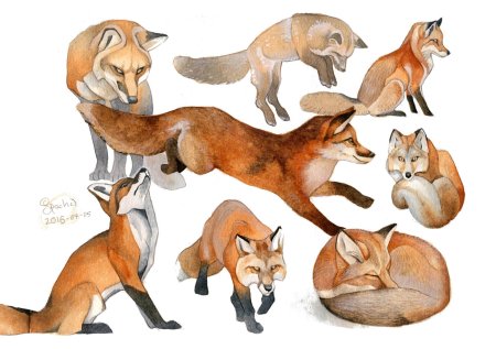 Лиса референс