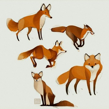 Референс лисы сзади