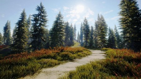 Лесная дорога