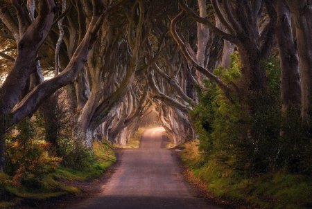 Сказочная тропинка