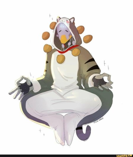 Дзенъятта овервотч