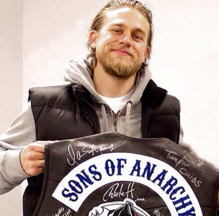 Чарли Ханнэм сыны анархии