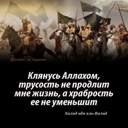 Халид ибн Аль Валид