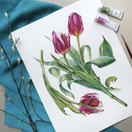 Анна Супруненко Ботаническая живопись