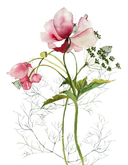 Роберт МАКНЕЙЛЛ Ботаническая живопись