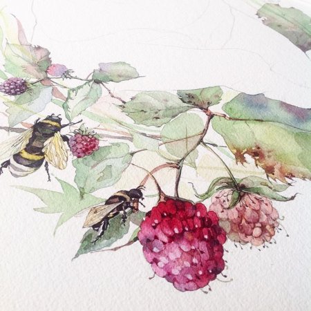 Светлана Лансе Ботаническая живопись