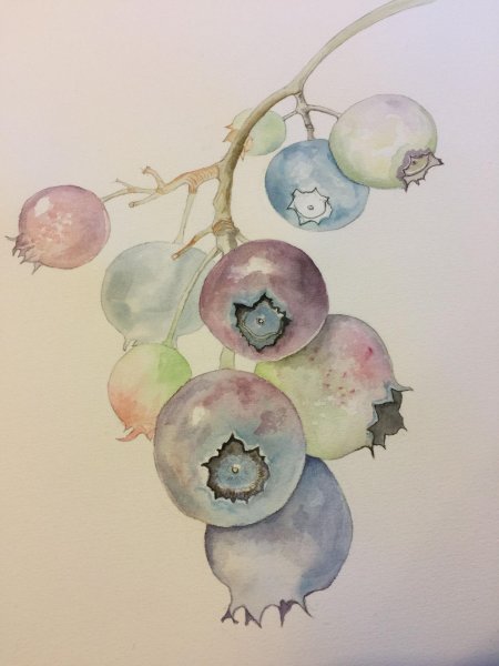 Хуан Хуавэннь акварель