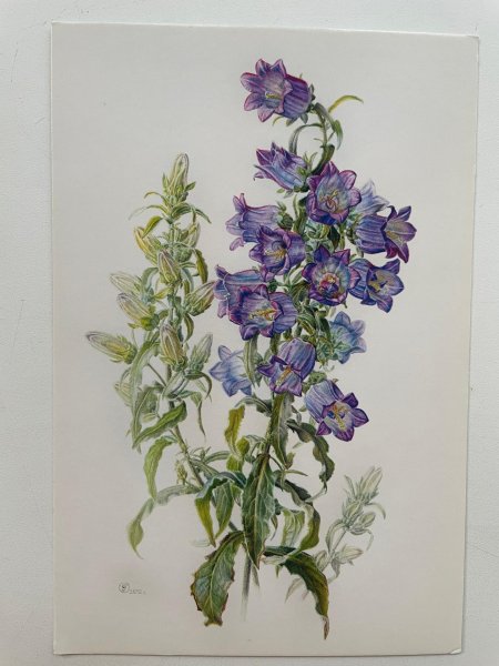 Ольга Гудзера