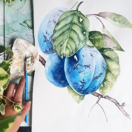 Скетчинг акварелью ботаника