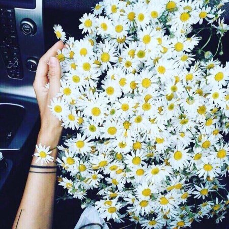 Девушка с букетом ромашек