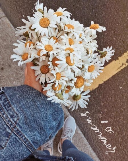 Букет ромашек