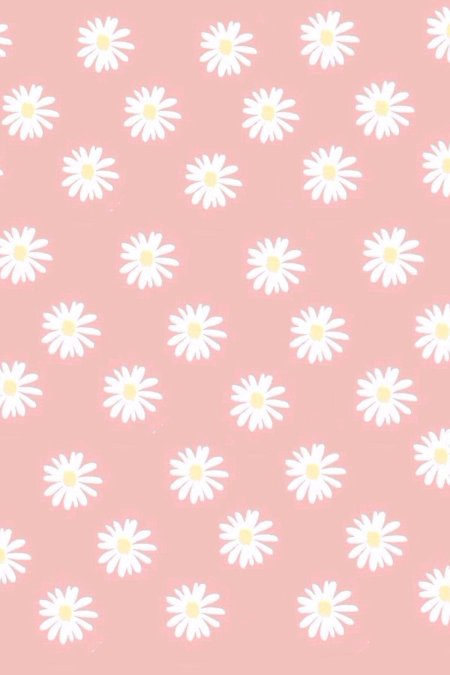 Ромашки на розовом фоне