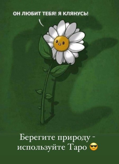 Смешная Ромашка