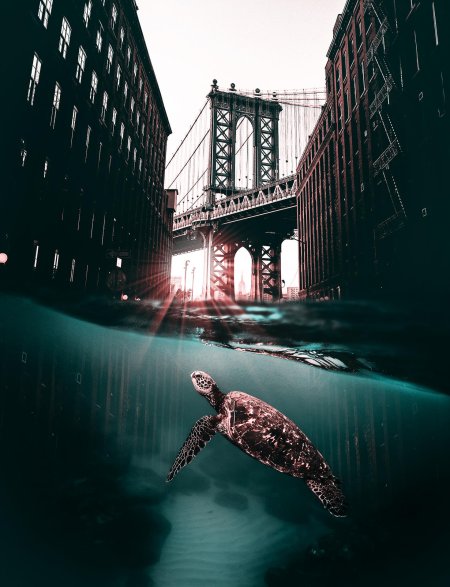 Хусейн Шахин фотоманипуляции