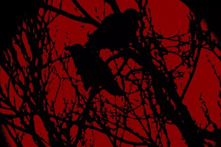 Птица на Красном фоне