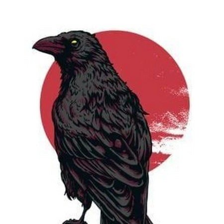 Ворон картинки