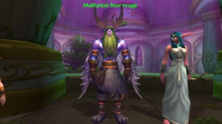 Warcraft Малфурион и Тиранда