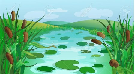 Болото для детей