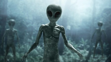 Инопланетян не существует