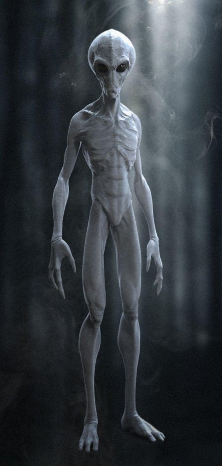 Пришельцы инопланетяне гуманоиды