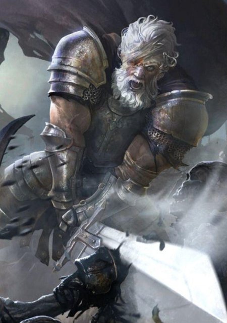 Старый Паладин арт