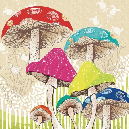 Мухомор инди КИД