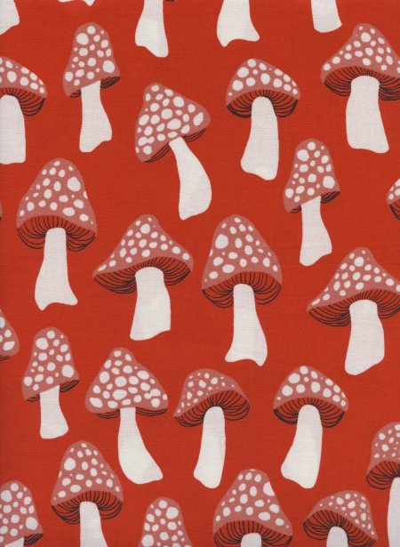 Кинди кит истетика гребы