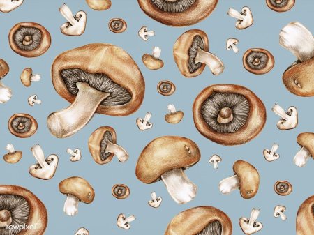 Грибы фон